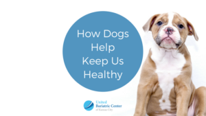 how dogs help keep us healthy