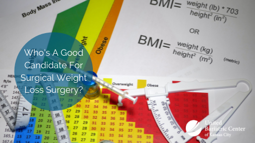 BMI chart and body fat measure