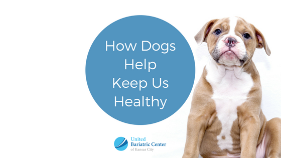 how dogs help keep us healthy